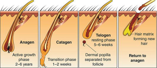 How Microneedling Can Boost Hair Growth