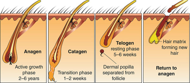 How Microneedling Can Boost Hair Growth